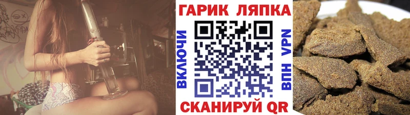 Купить где  Пионерский  ГАШ Изолятор 