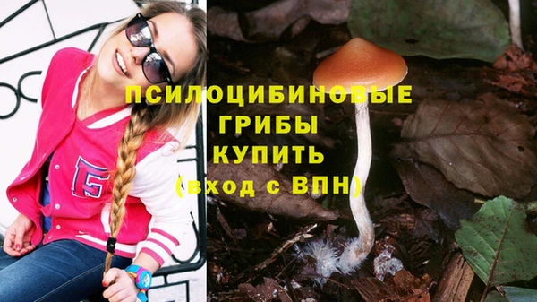 прущий лед Горно-Алтайск