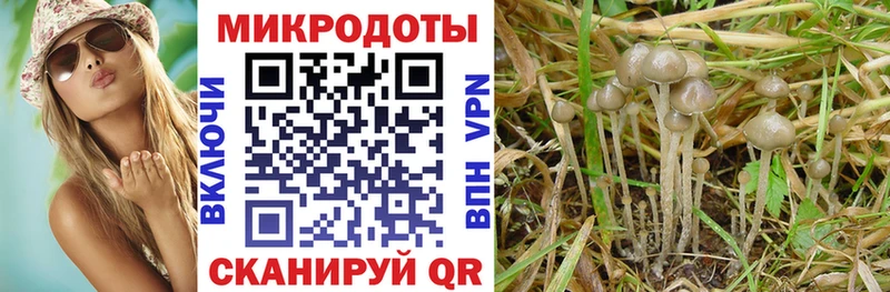 Галлюциногенные грибы GOLDEN TEACHER  Купить где  Пионерский 